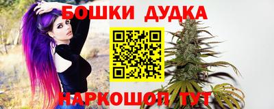гидропоника Новозыбков