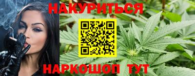 гидропоника Новозыбков