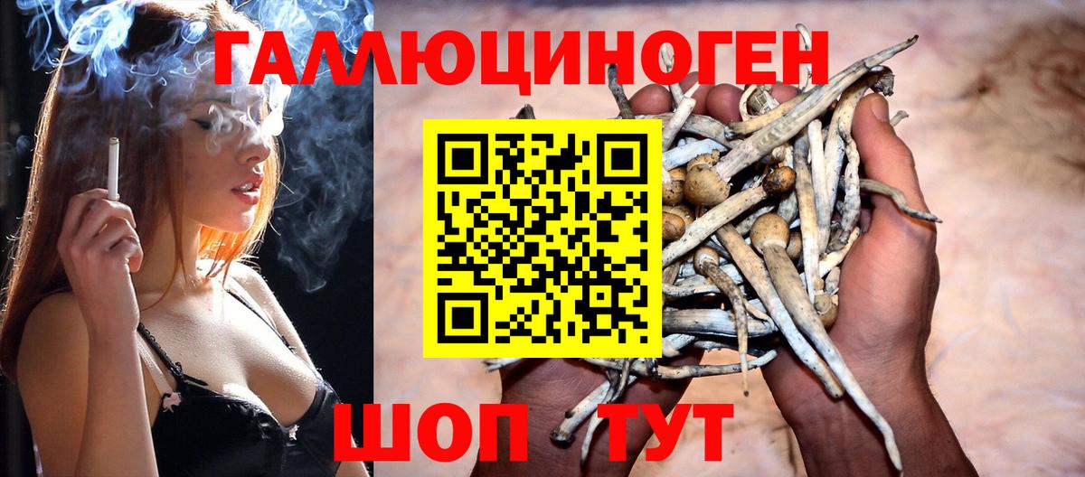 Галлюциногенные грибы Cubensis Хасавюрт