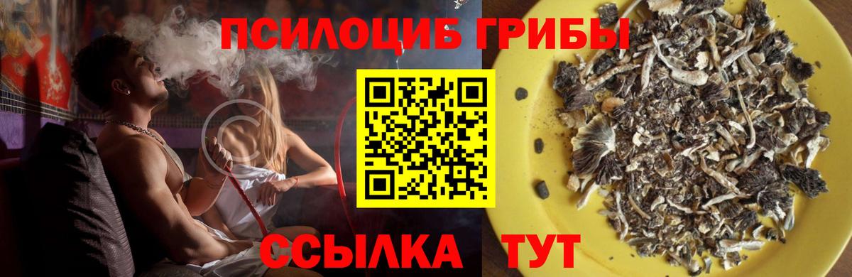 Галлюциногенные грибы ЛСД  Псилоцибиновые грибы мухоморы  где можно купить   Вход с VPN  Хасавюрт 